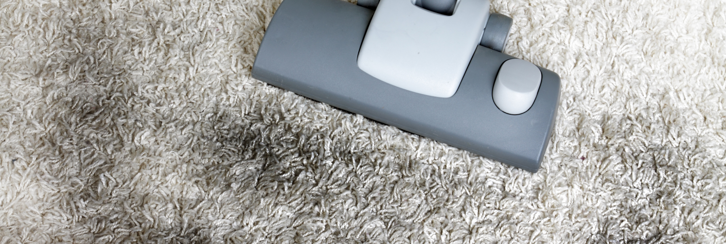 Carpet cleaning services